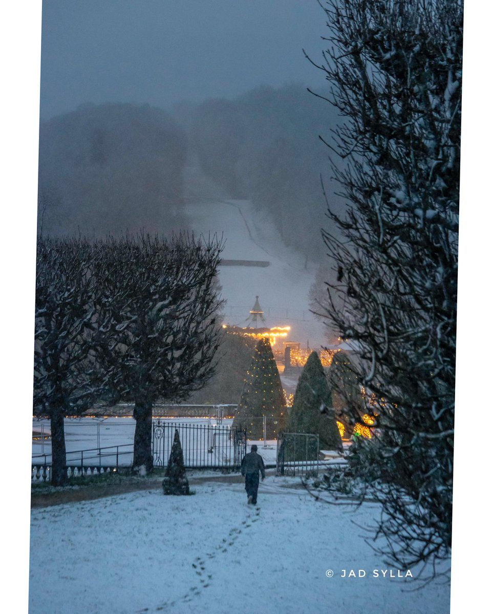 jad_sylla's tweet photo. ..Season’s Greetings..

For more magical discoveries to come ..

________________________________________

Pour plein de découvertes magiques à venir ..

#newyear #holidays #christmas #france #saintcloud #photography https://t.co/lZezGauHj1
