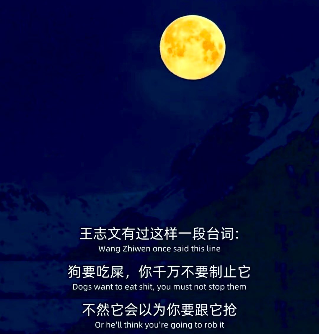 Cryptoeth520's tweet photo. 成年人最愚蠢的行为 https://t.co/Tb9l5PZkpH