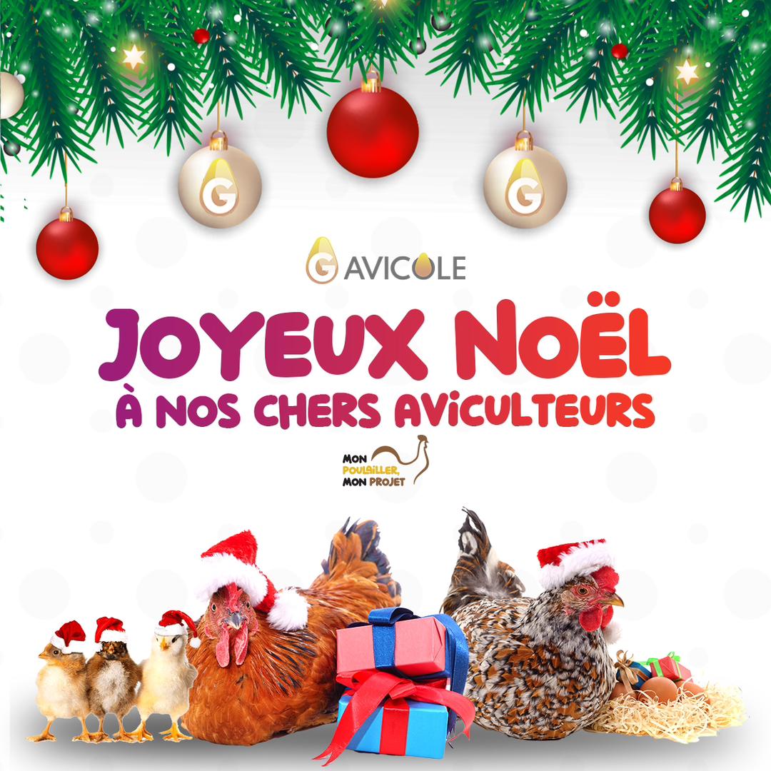 G Avicole tweet media