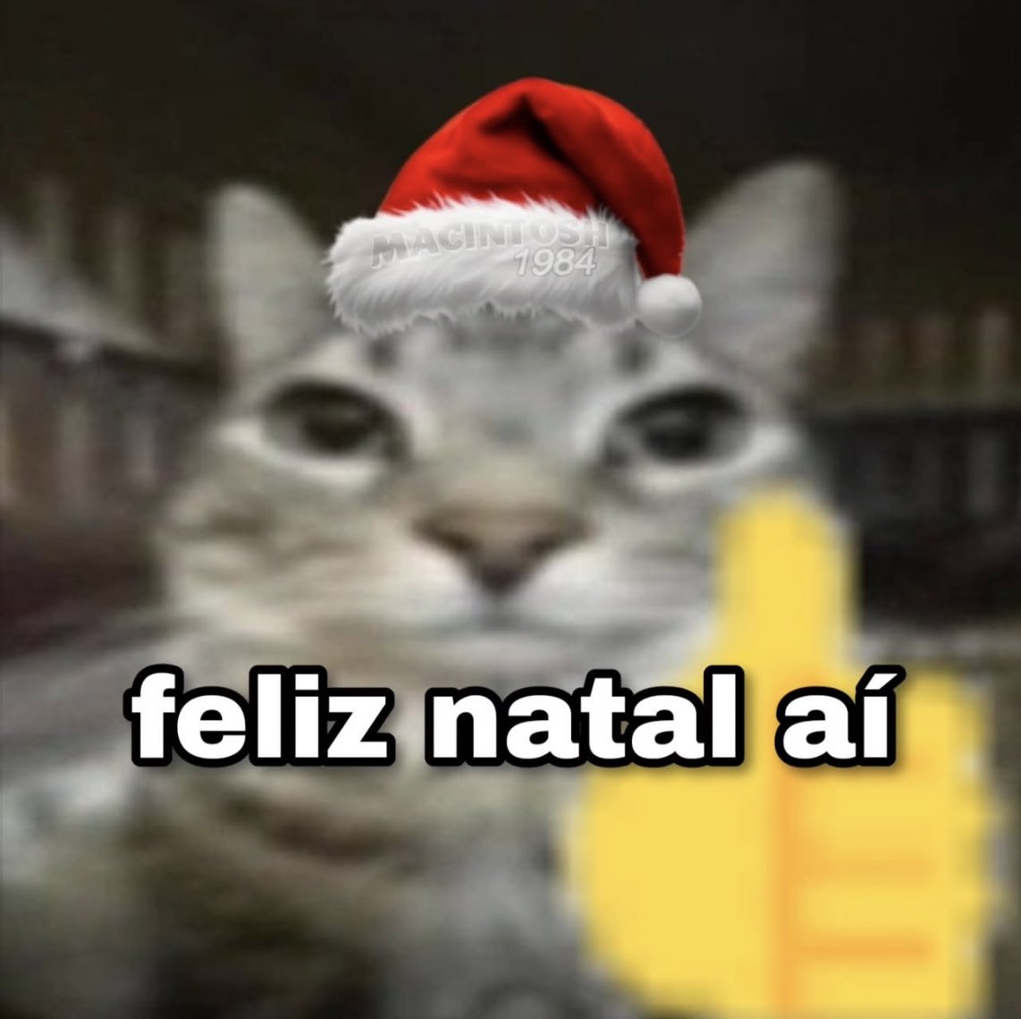 gatinarios's tweet photo. https://t.co/FUpkVdPr0T