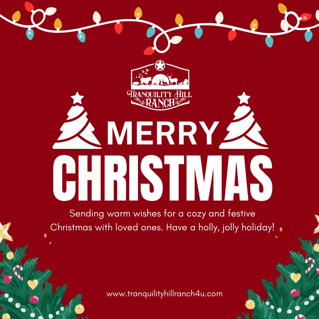 Thillranch4u's tweet photo. Merry Christmas to all! 🎄 Wishing you a day filled with love, laughter, and joy. #MerryChristmas #HappyHolidays #ChristmasDay https://t.co/XP6gOKLWIl
