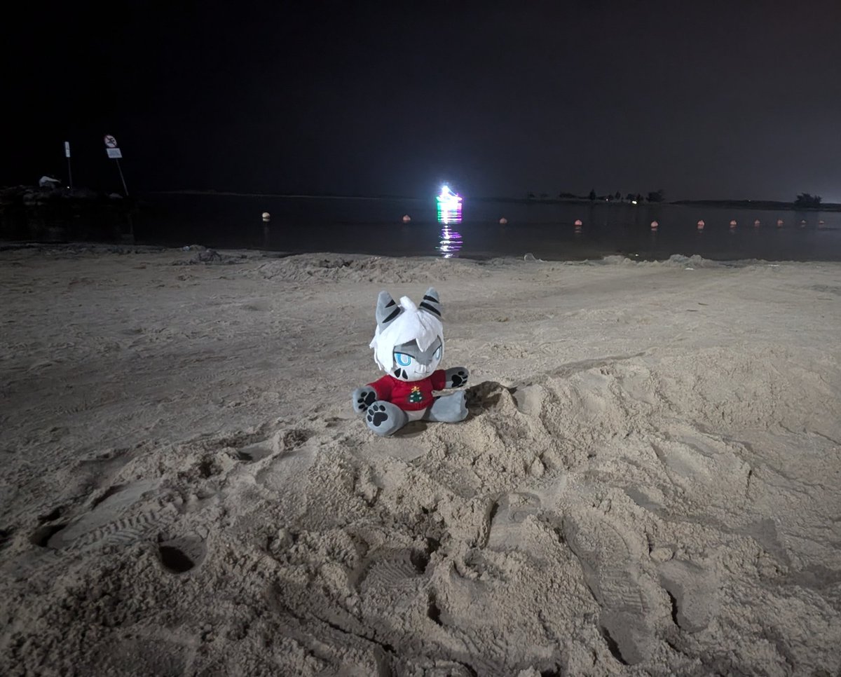 stemtex477's tweet image. Touching sand