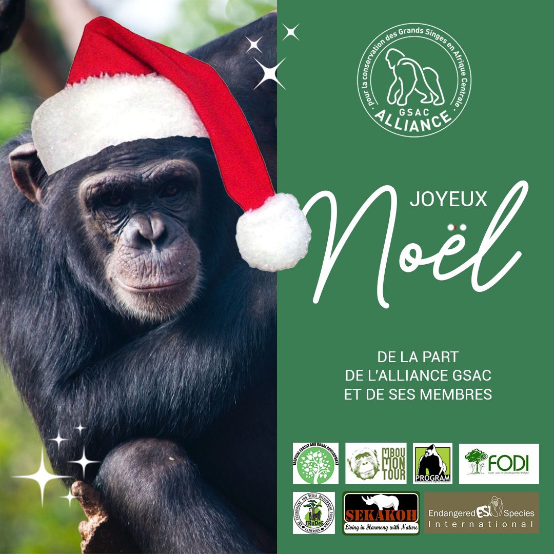 ALLIANCE GSAC tweet media