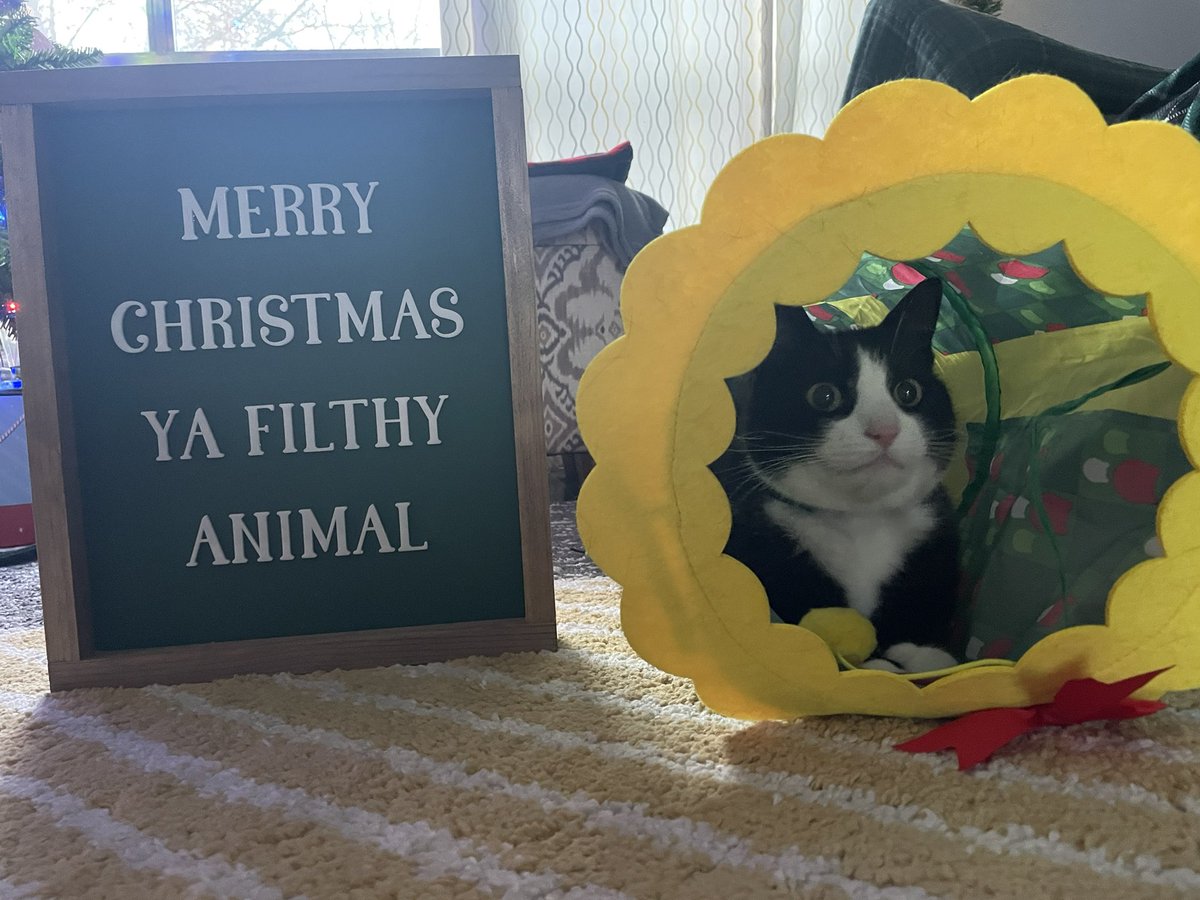 Jamie Vandenburgh (@coachvtweets) on Twitter photo 