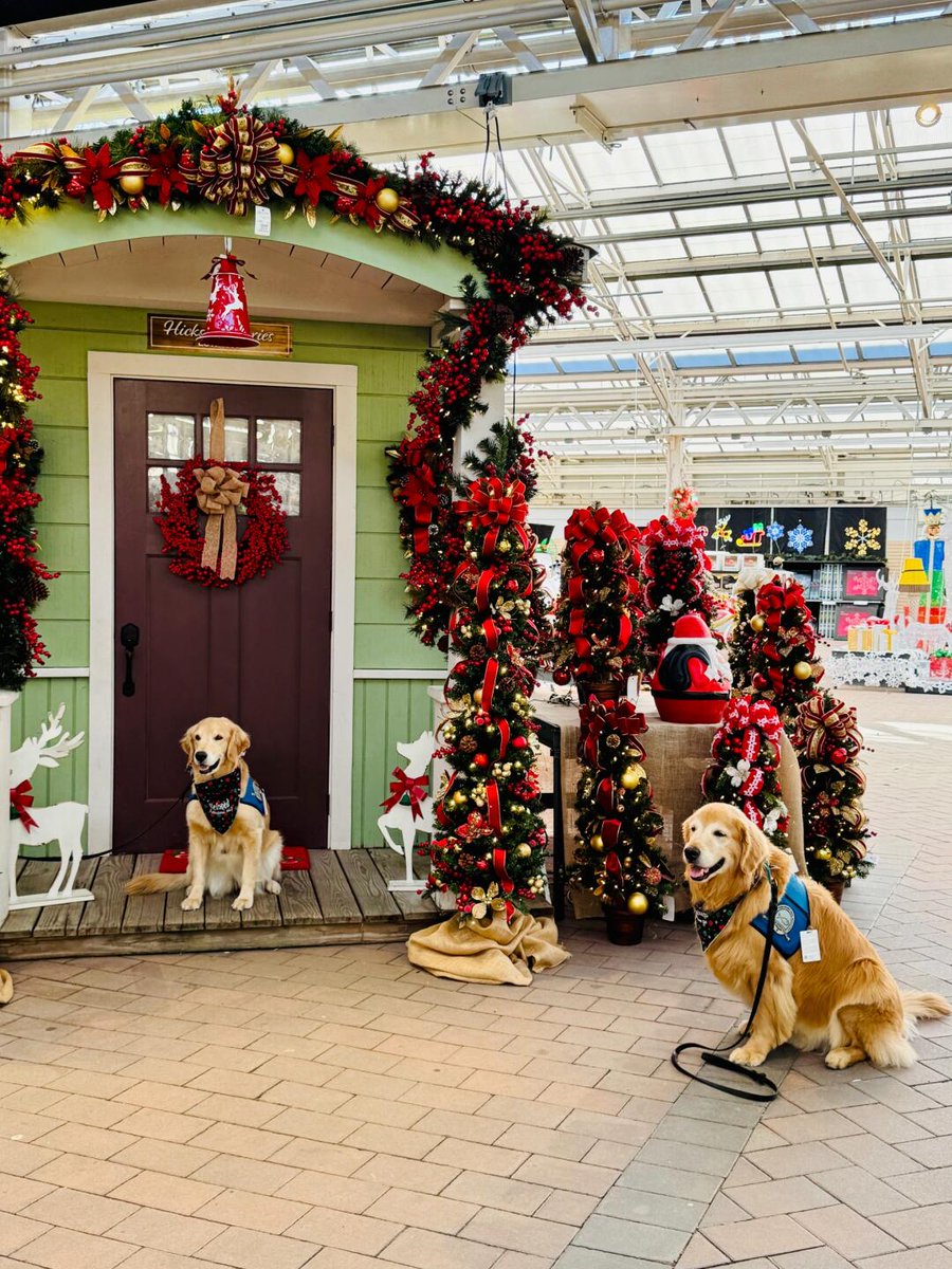 Li_Aman22's tweet photo. 🎄 2024 is smiling on the horizon—let’s welcome a fresh start together! No matter what the past holds, the future is always worth looking forward to. 
Wishing everyone a Merry Christmas and a New Year full of dreams come true! 🎅🎁 #MerryChristmas #NewYearNewBeginnings #JoyAlways https://t.co/7vOQ5g8lhM