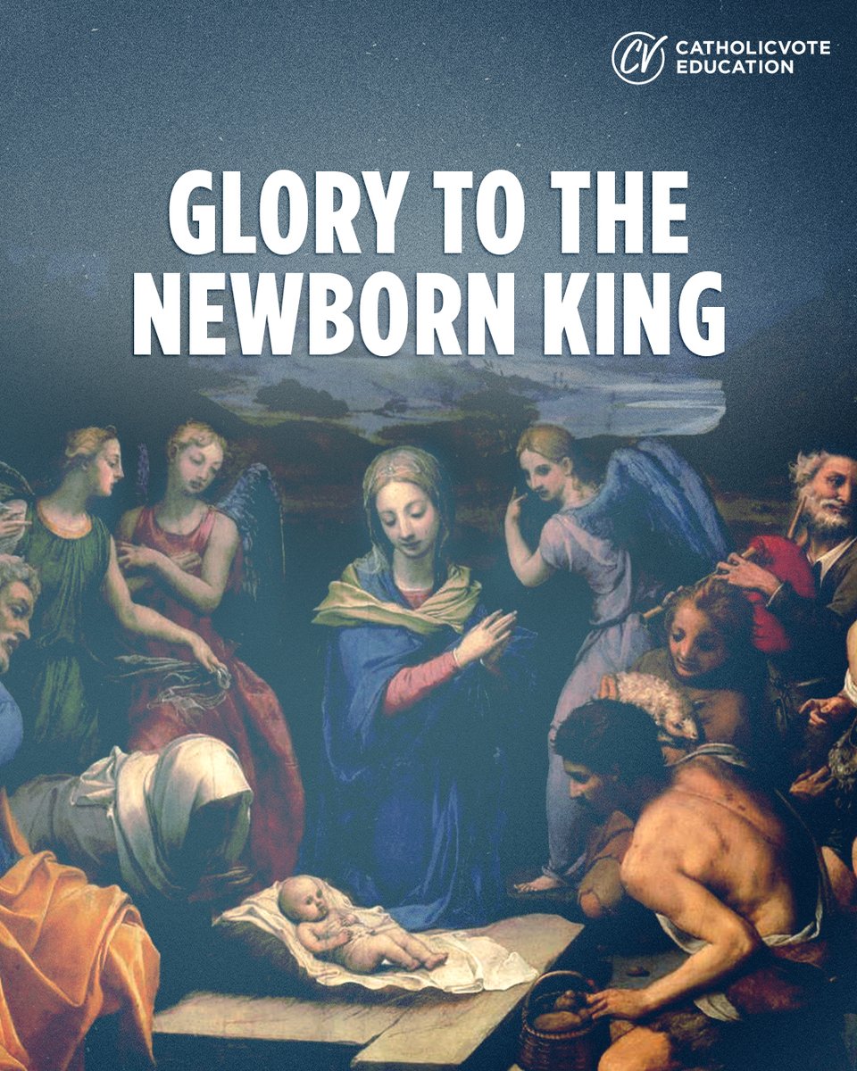 CatholicVote Education tweet media