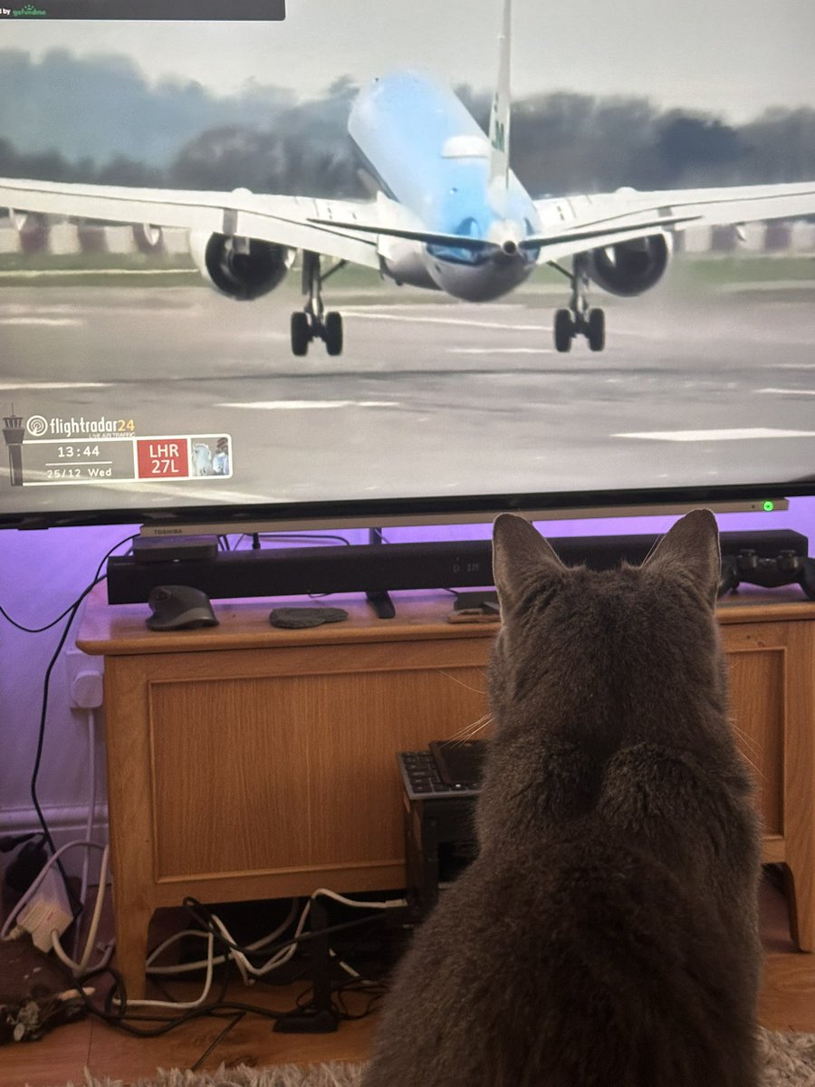 lucypat1979's tweet photo. @BigJetTVLIVE my cat Tilly loving the Christmas Show, Merry Christmas All ✈️ https://t.co/mhWpWx7Hnu