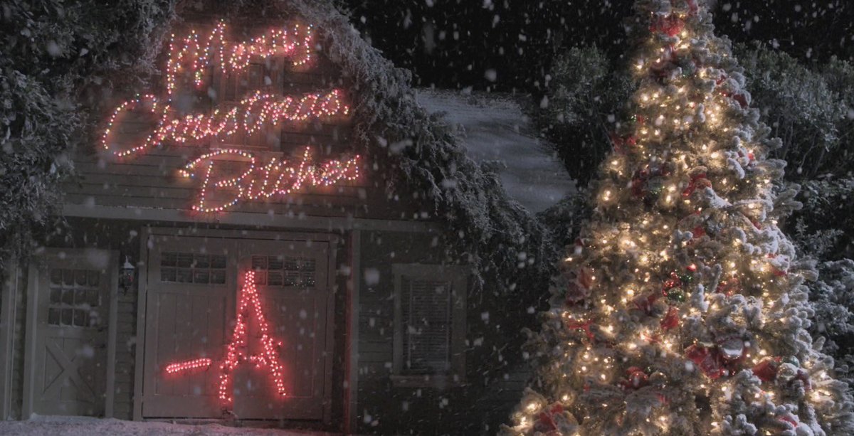 Merry Christmas Bitches