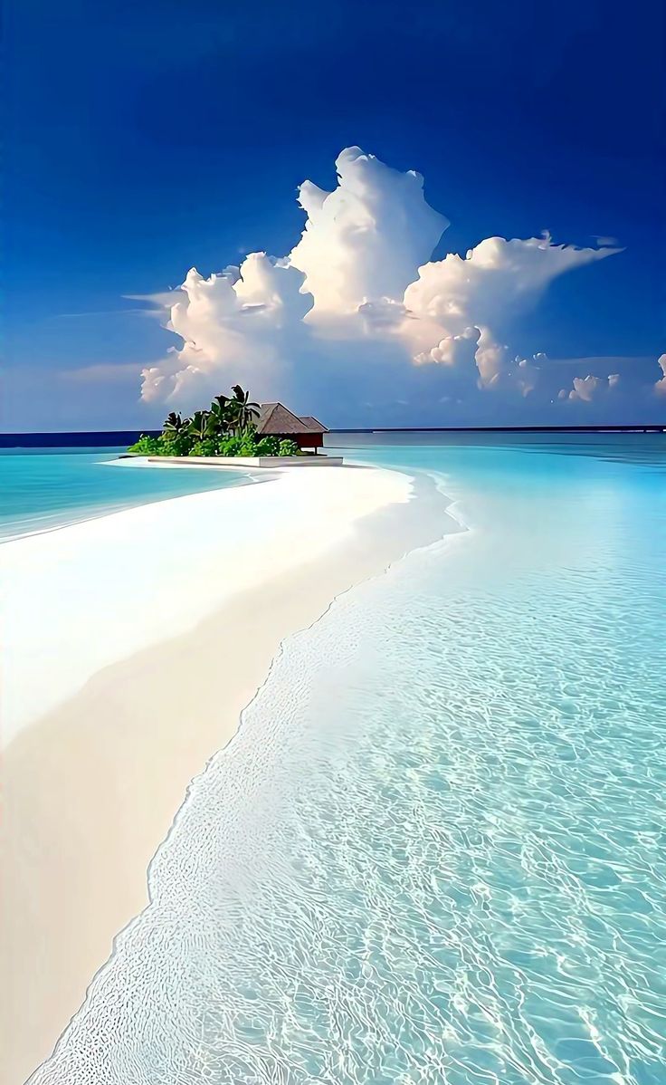 turquesa_711 tweet picture