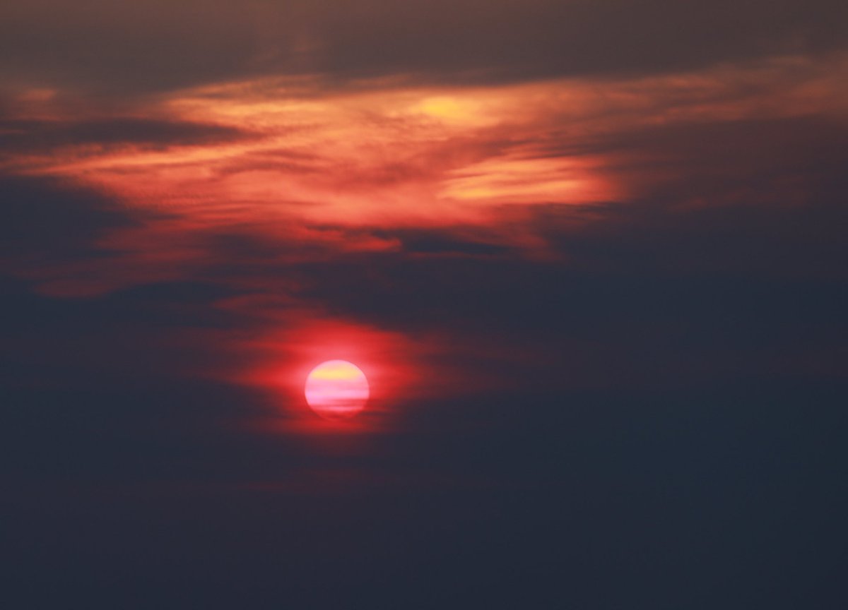 This holiday season, I’m taking a moment to appreciate the incredible people I’ve connected with throughout the year. Your encouragement, wisdom, and collaboration have been a gift. 

Wishing you all a season of happiness and a new year filled with amazing possibilities!