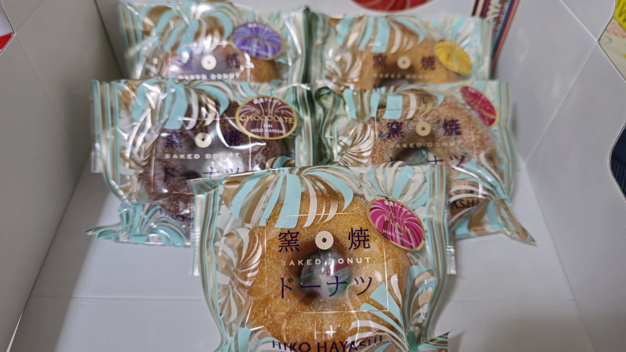 EMP ハオルチア ミニドーナツ / HA27 ハオルチア ミニドーナツ ③ 多肉植物