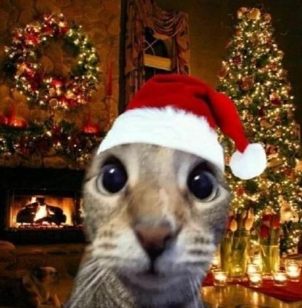 WRrStar's tweet photo. MERRY CHRISTMAS TO EVERYONE! ✨

I hope you have an amazing time this holiday season and enjoy December to the fullest. 
Love you all so much! Kisses 💕🎄⛄

#Artmoots https://t.co/DLuuuMKAml
