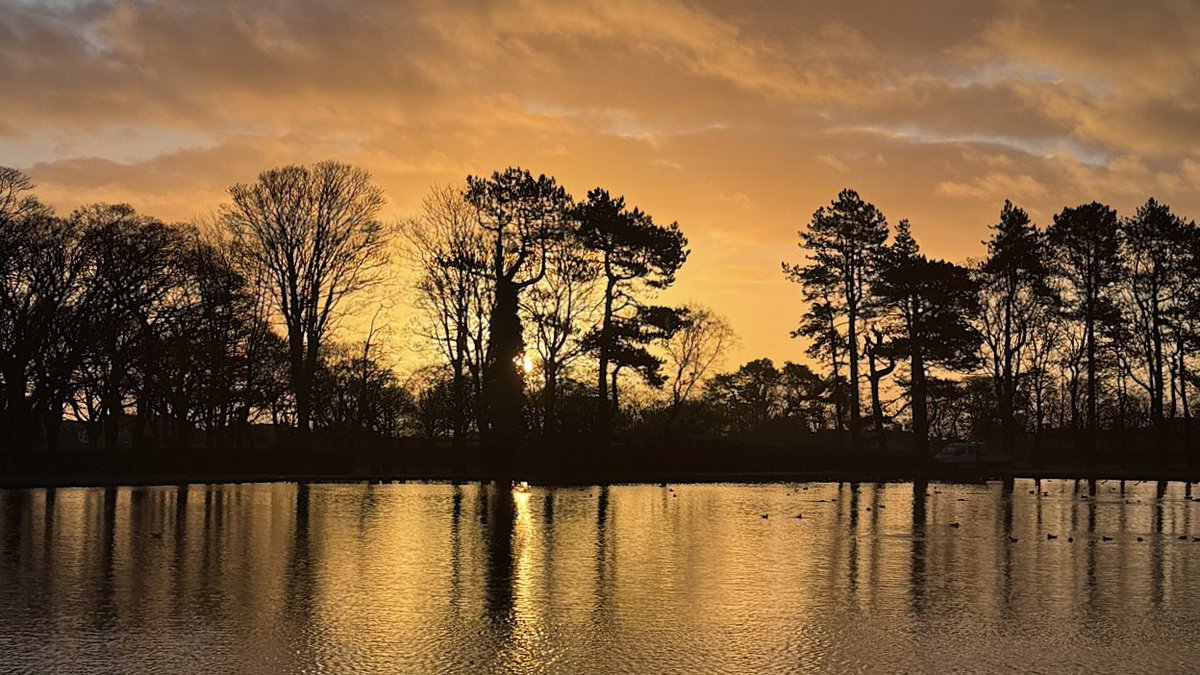 My #patternsofpeace in nature videos start over on YT today - offering up to 60 seconds of patterns to restore and calm mind and body - youtube.com/shorts/BuAeUca…
 #joinin #nature