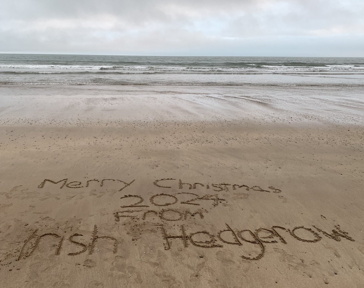 Irish Hedgerow (@drinkthehedge) on Twitter photo 