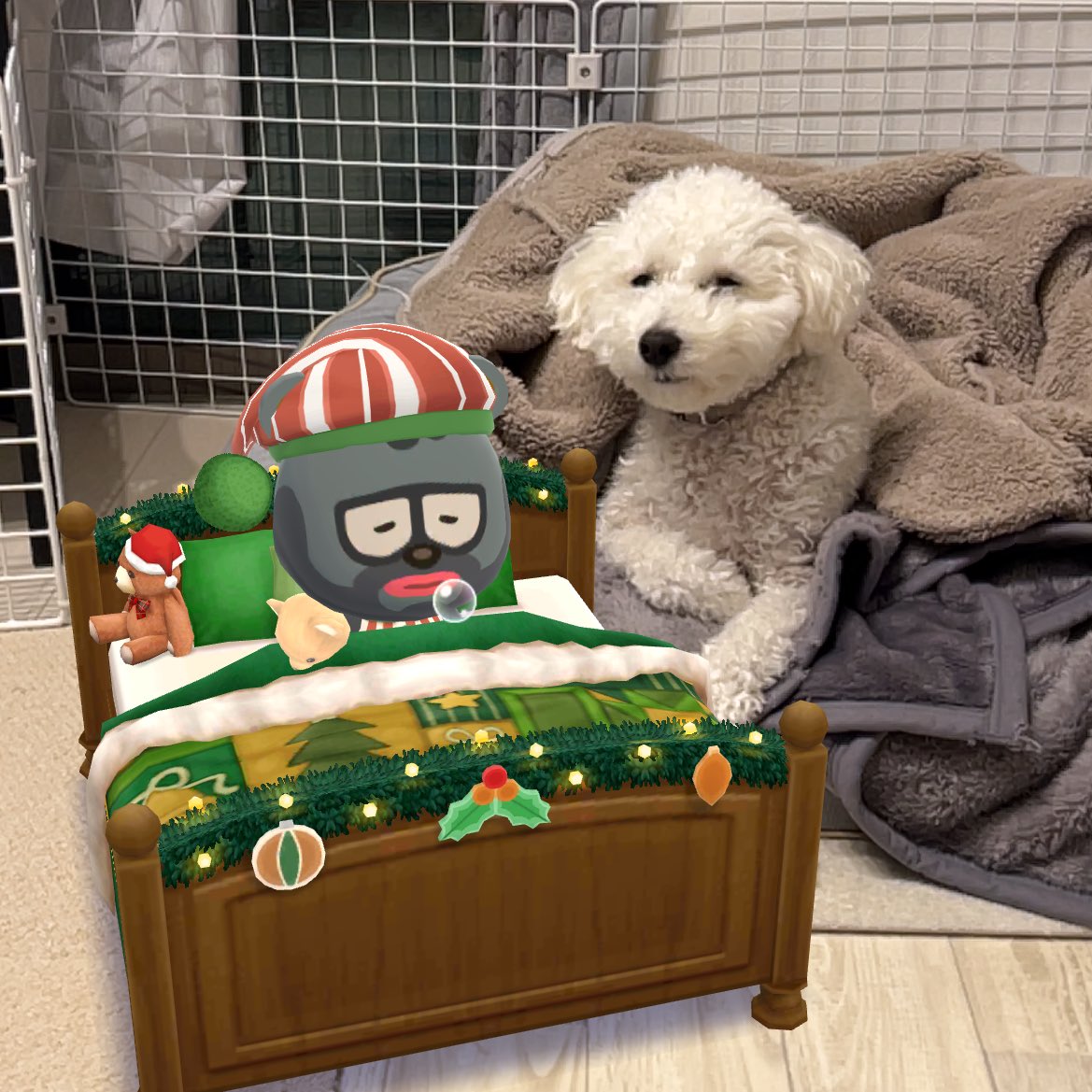 893Hu's tweet image. 