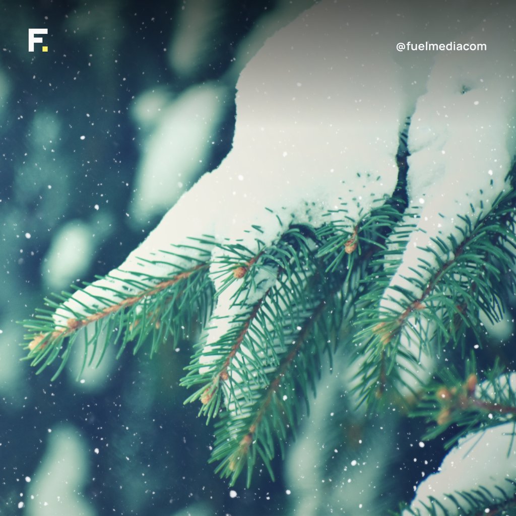 Wishing you a joyful and happy holiday from all of us at Fuel Media! 🎄 ✨ May your day be filled with love, laughter, and holiday cheer. #MerryChristmas #FuelMediaCheer