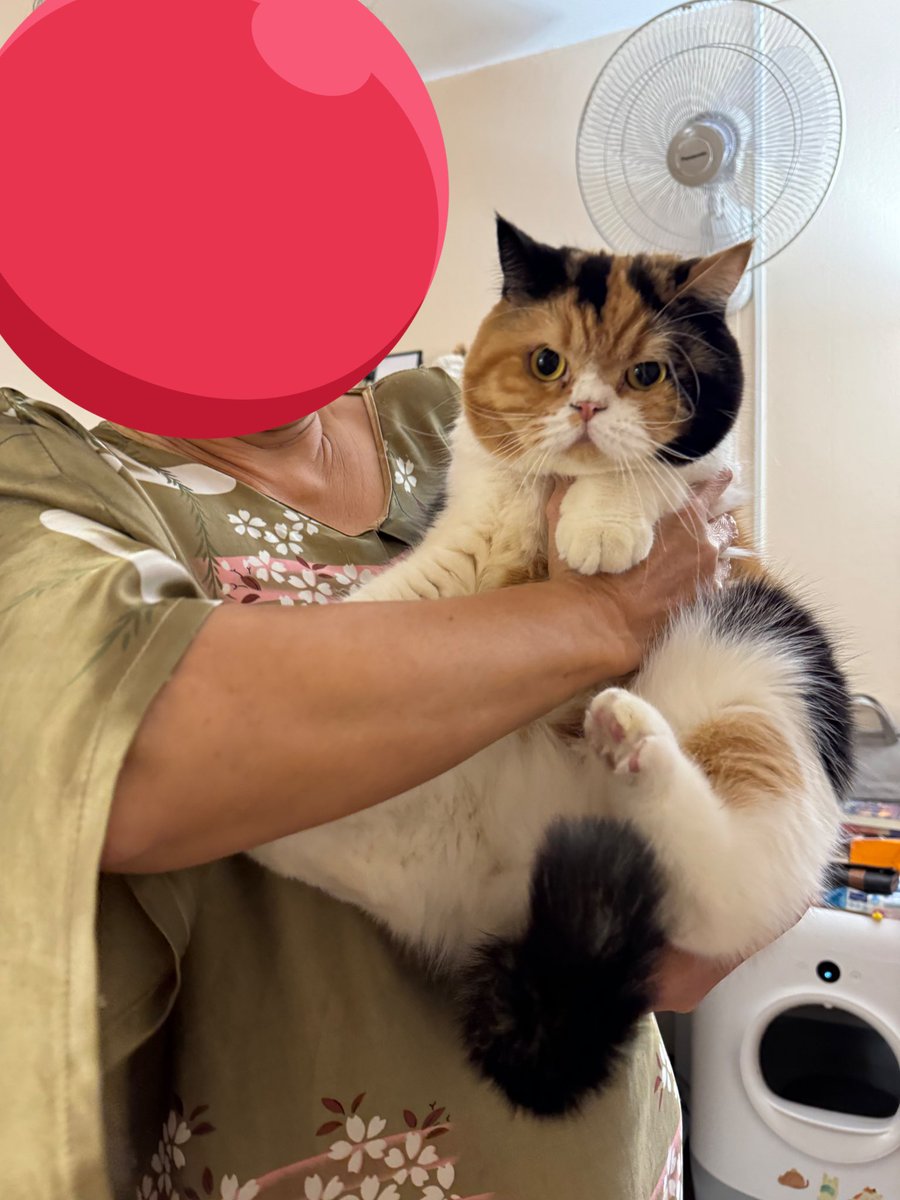 yayee2548's tweet image. ในสายตาของยาย ชั้นคงเป็นหลานที่ไม่เอาไหน