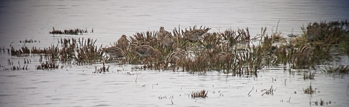 Andrew James tweet media