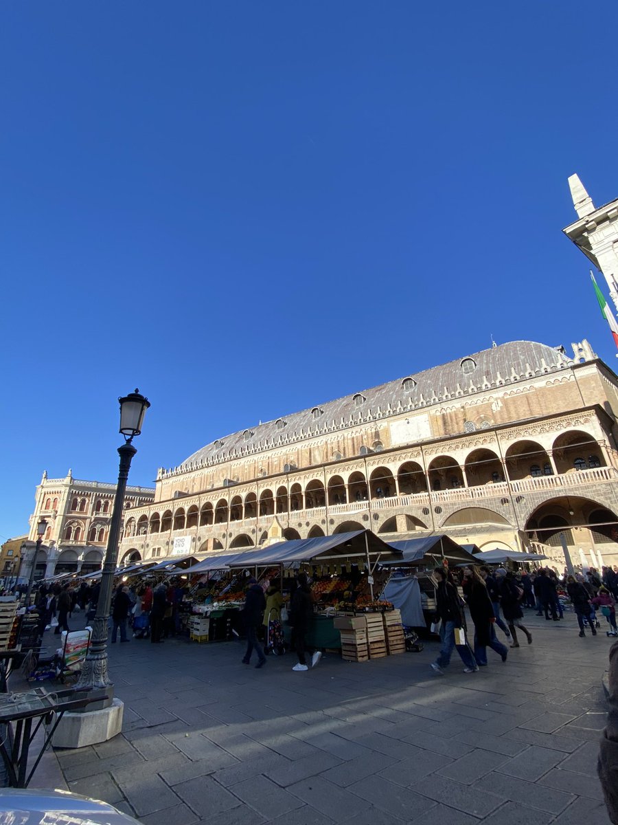 Giancarlo Bernini tweet media