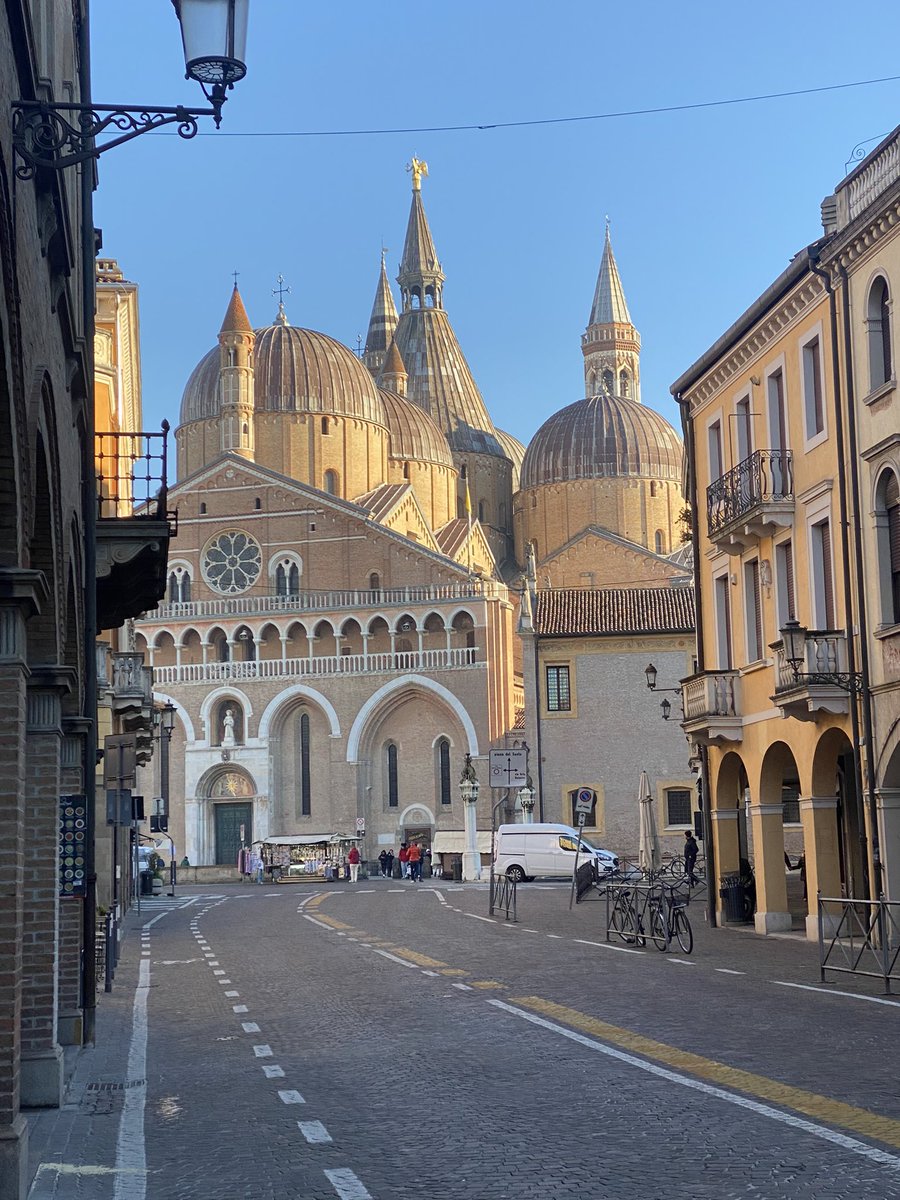 Giancarlo Bernini tweet media