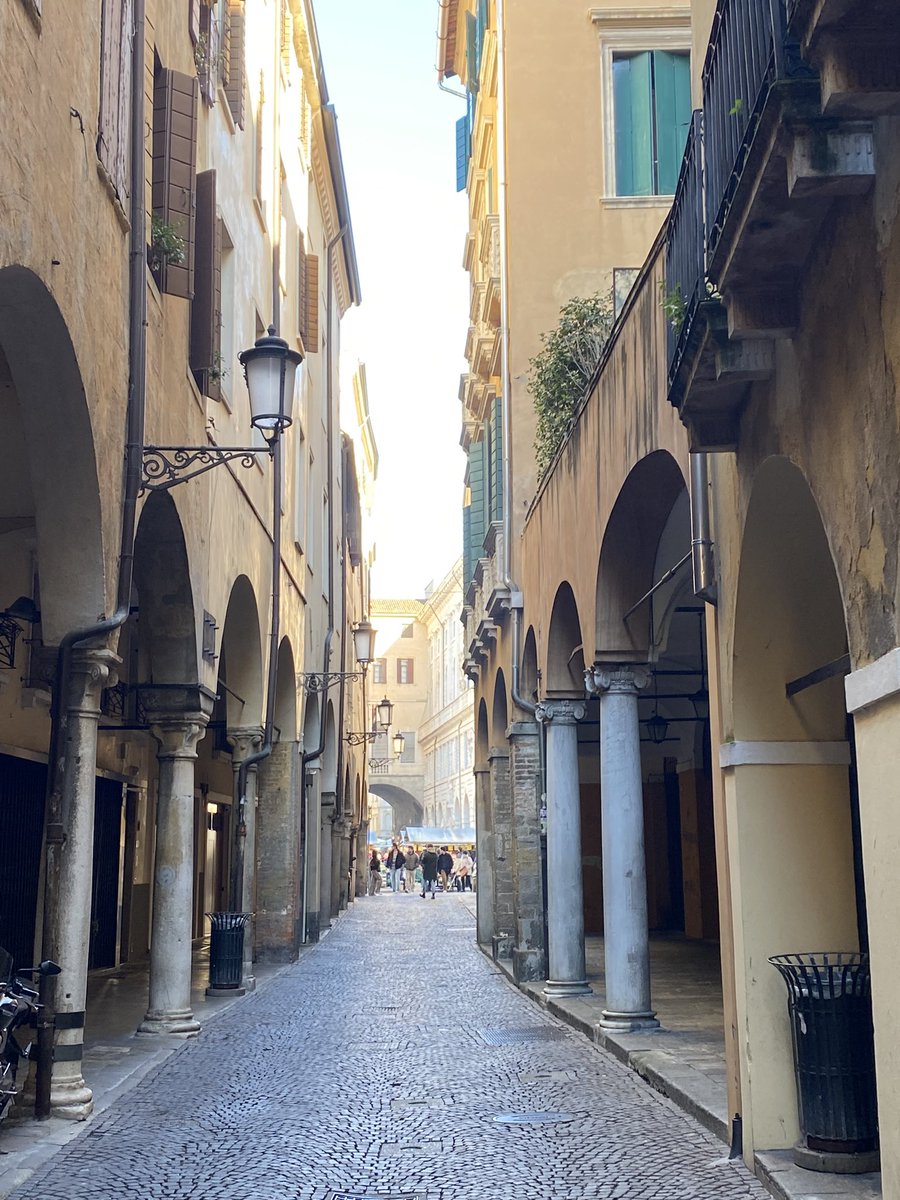 Giancarlo Bernini tweet media