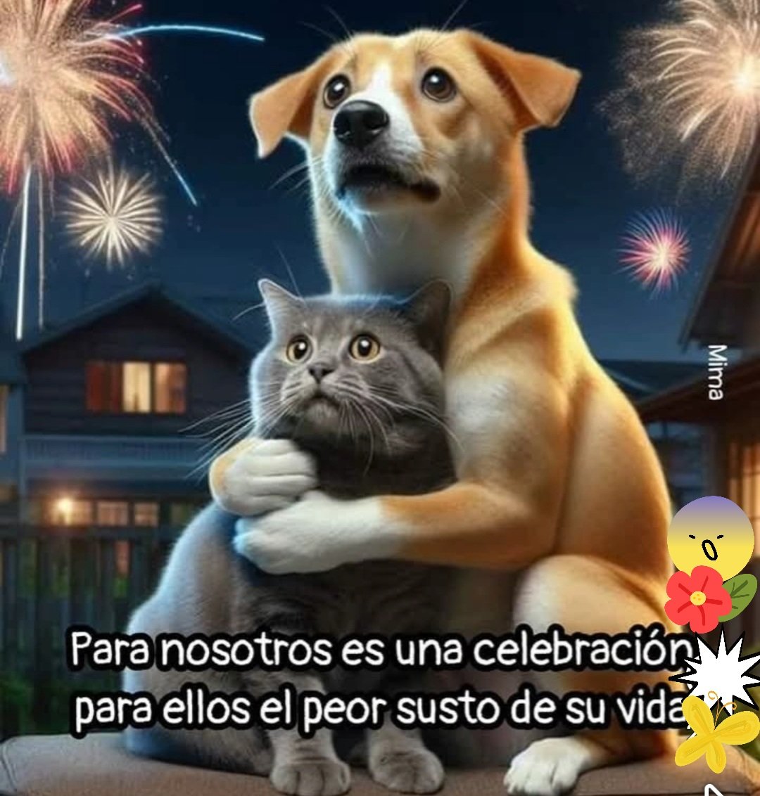 Nelitaguz. tweet media