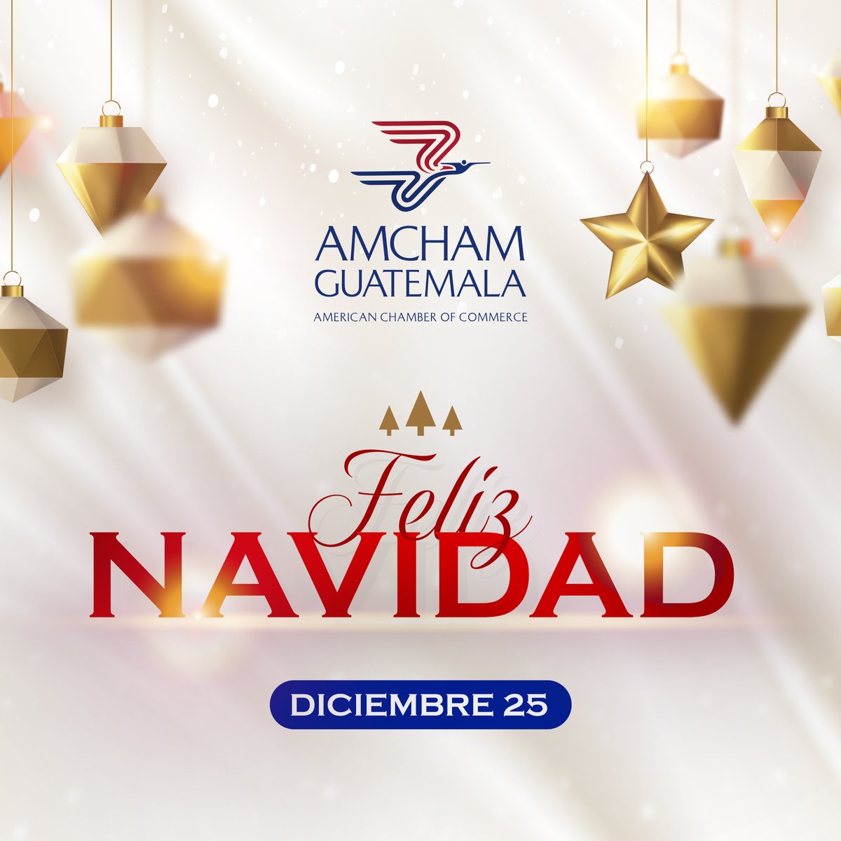 AmChamGT's tweet photo. 🎄✨ ¡Feliz Navidad! ✨🎄
Que este día esté lleno de alegría, amor y unión mientras celebramos la magia de la Navidad. 🌟🎁
De parte de todos en AmCham Guatemala, les deseamos una temporada llena de felicidad y paz. ❤️
#AmChamGT #FelizNavidad #AlegríaNavideña #PazYAmor https://t.co/camJyLyyCj