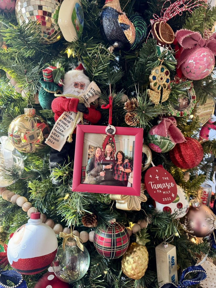 CJ Tamasco tweet media