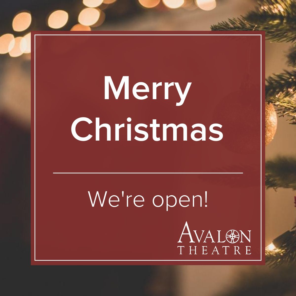 Wishing you a joyful Christmas filled with love, happiness, and prosperity!

If you're in town, we'd love for you to join us at the Avalon for a movie. 

theavalon.org/films/?date=no…
