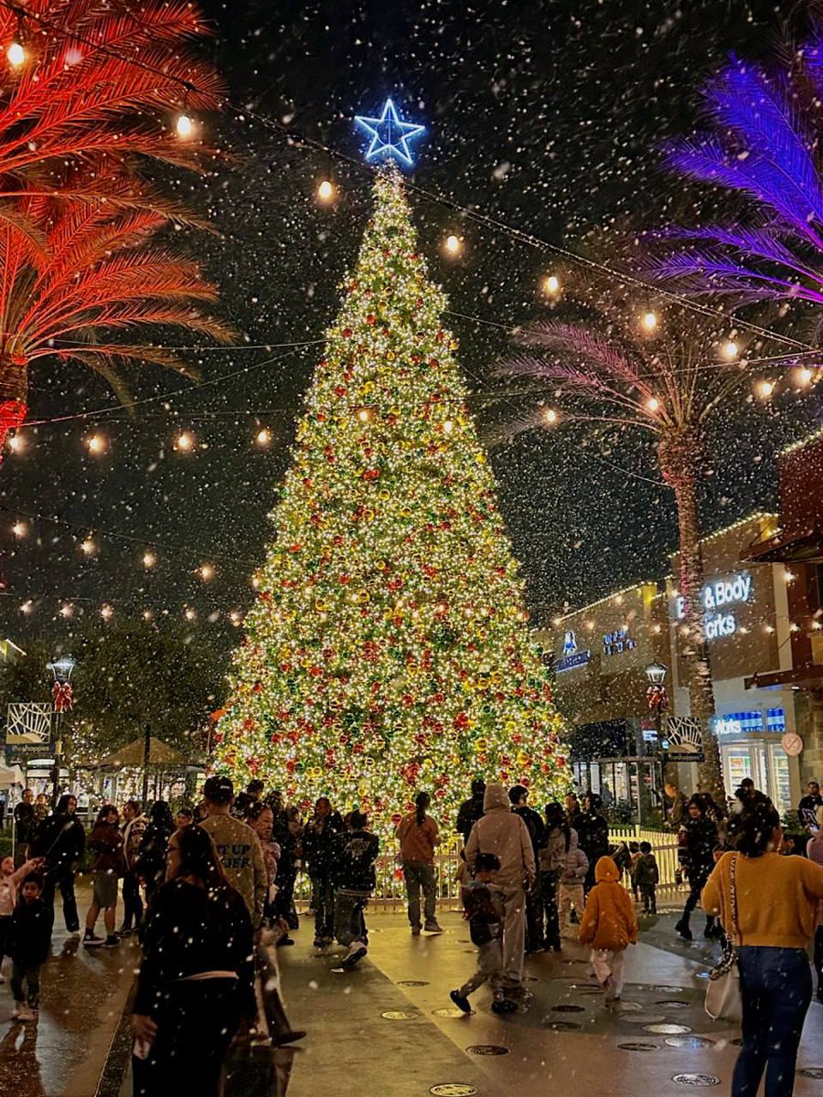 protonotary chrismatory
Did you all receive gifts today?
##Christmas