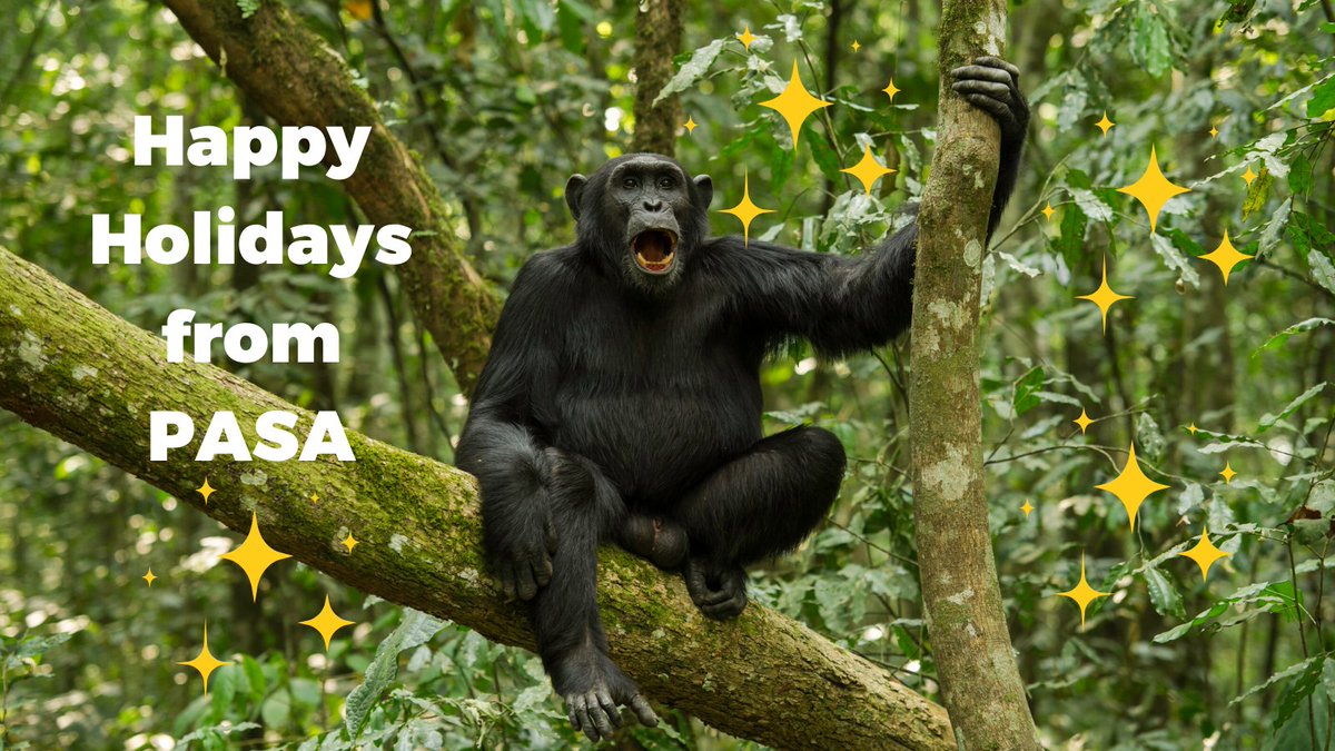 Sending warm wishes and heartfelt thanks during this special holiday season! ✨ Wherever you are, may your days be filled with joy, love, and hope for a brighter future. Thank you for standing with us in protecting primates and preserving our beautiful planet. 

#HappyHolidays