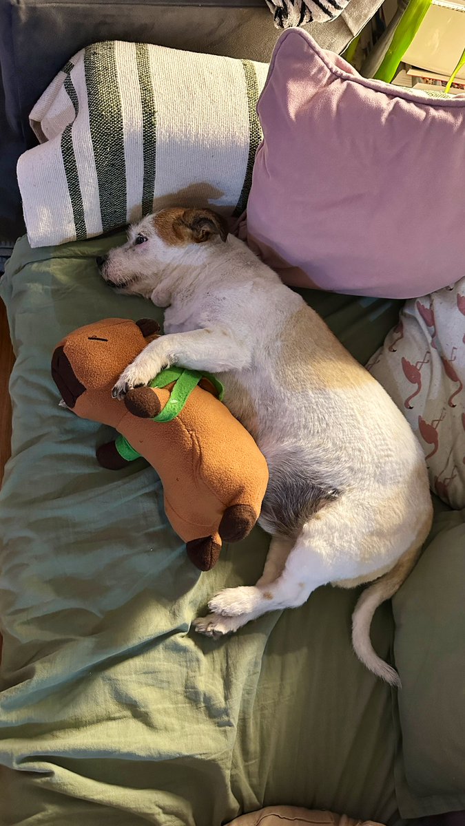 Paco Almeida tweet media