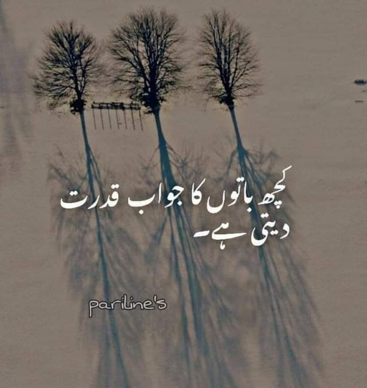 481Sahar44587's tweet photo. https://t.co/jwvJVecqQK