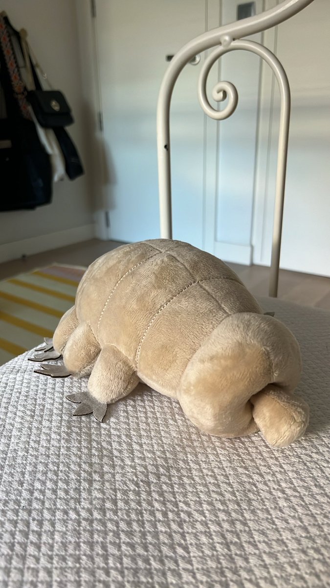 IngridGilL_'s tweet photo. @giaantv Un tardigrado ❤️ https://t.co/QtplxVdyK8