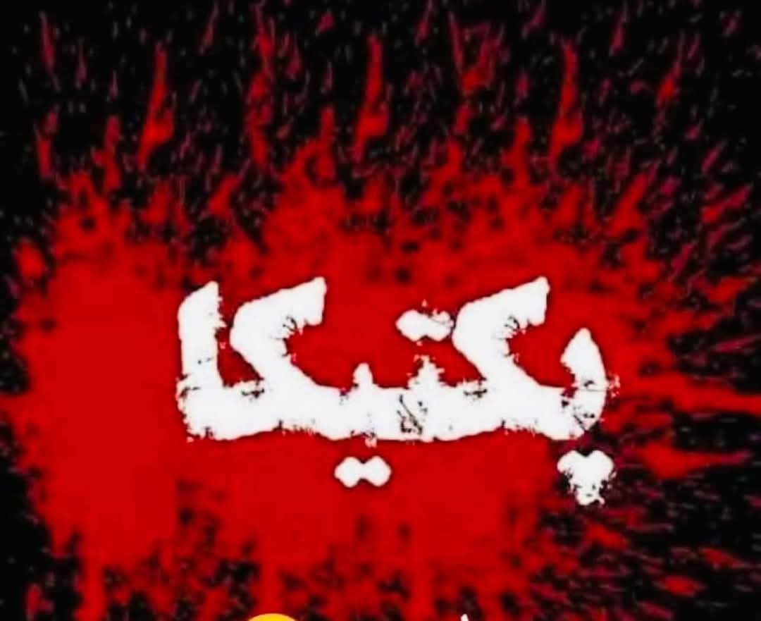 DivaPatang's tweet photo. د پنجاب غلامې مزدوری او ظالمې ادارې د افغانستان د پکتيکا ولايت په برمل ولسوالۍ کې يو ځل بيا په خپل وحشيانه هوايي برید سره ۴۶ تنه بې ګناه هېوادوال  شهيدان او ۶ نور ټپيان کړل چې د پاکستان مزدوری ادارې دغه وحشي عمل په کلکو ټکو غندم . او د افغانستان اوسنيو حاکمانو ته په کار ده چې د پاکستان دغه ظلم ځواب ورکړي