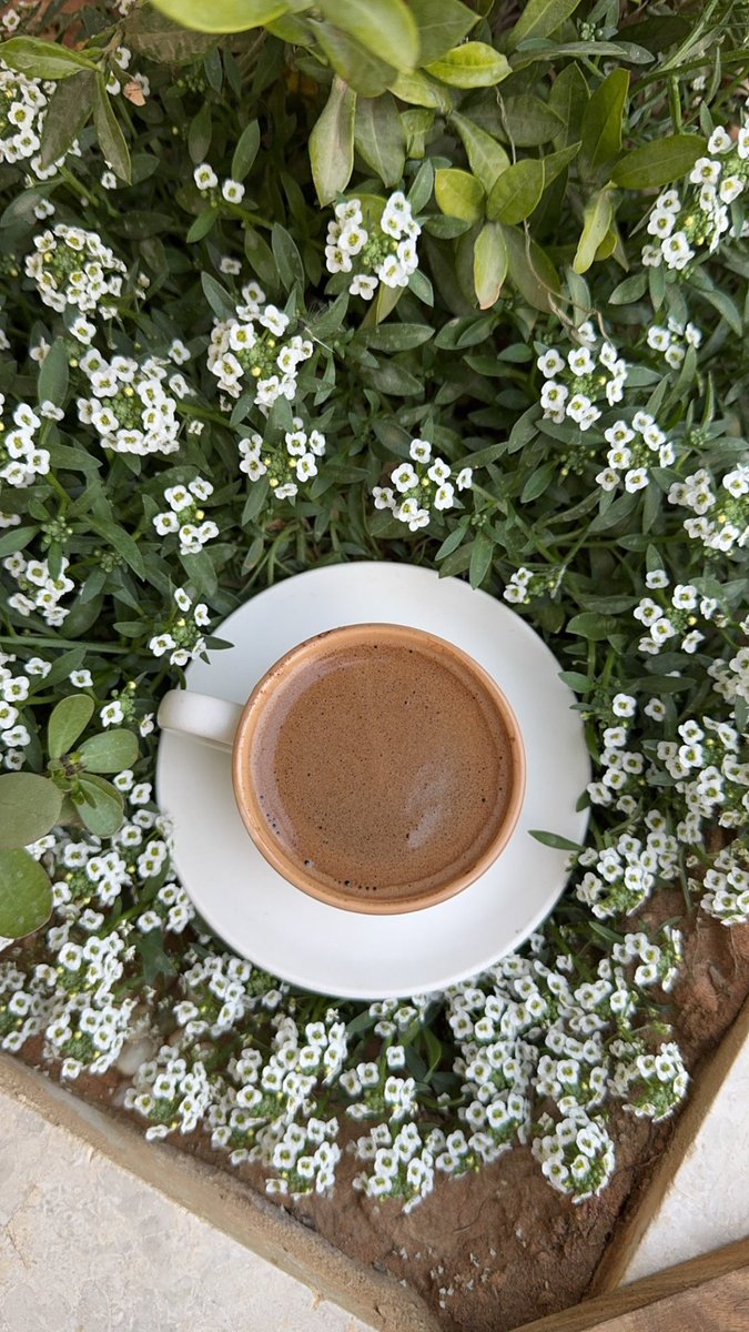 nsns200 om munira tweet media