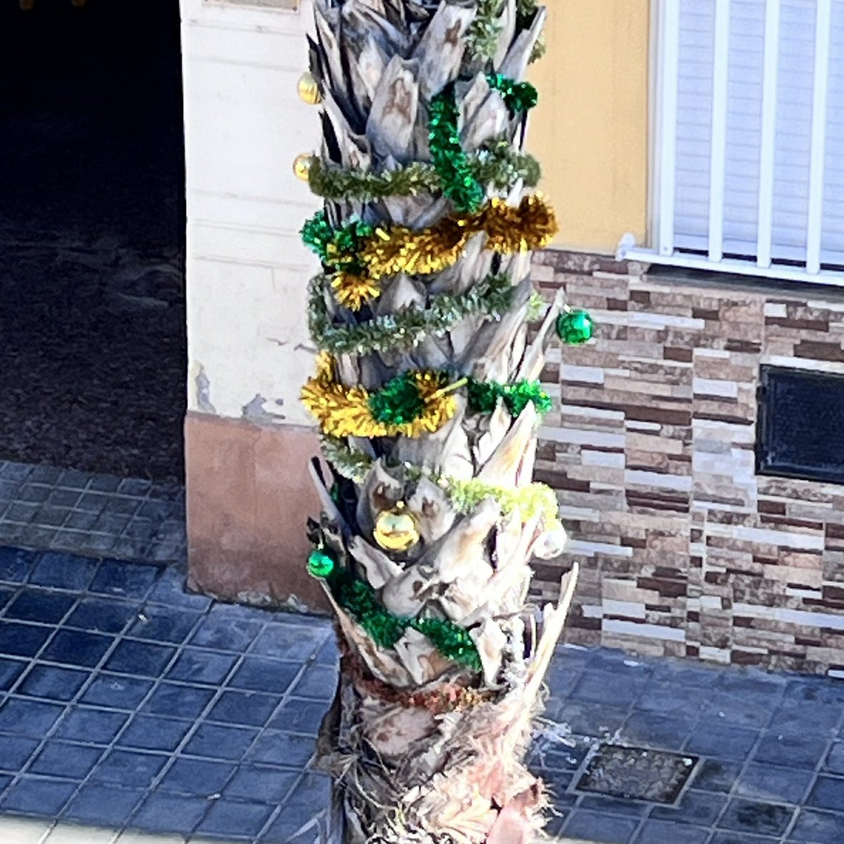 Christmas Palm tree 💚