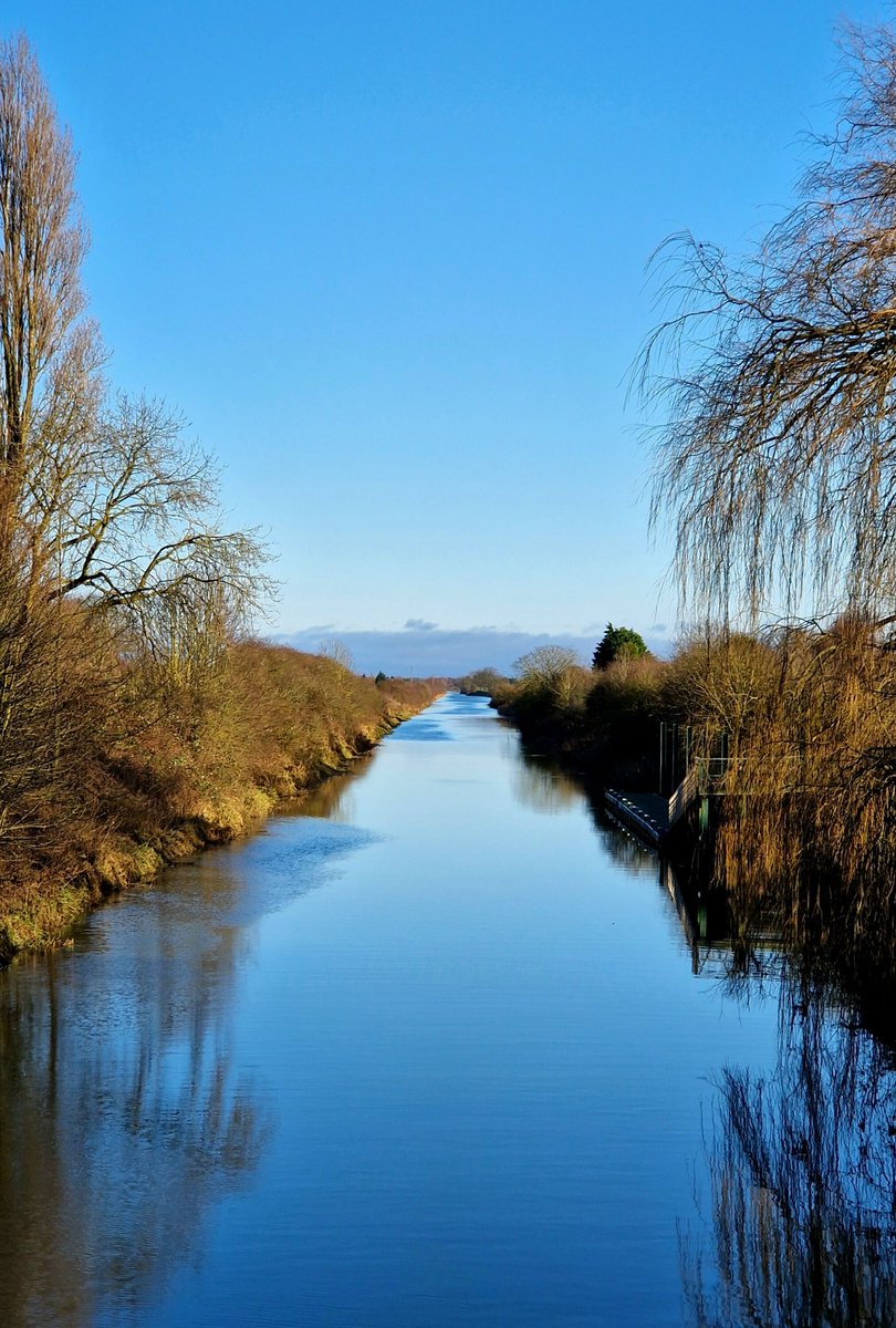 Tengushee's tweet image. GM.

#xmas #currentview