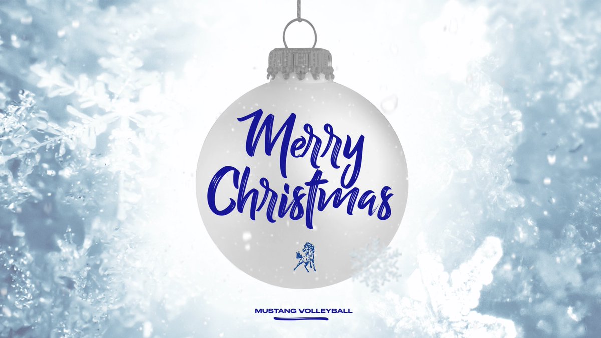 Merry Christmas and Happy Holidays from your Mustang Volleyball Team!  Hoping you’re spending precious time with family and friends!