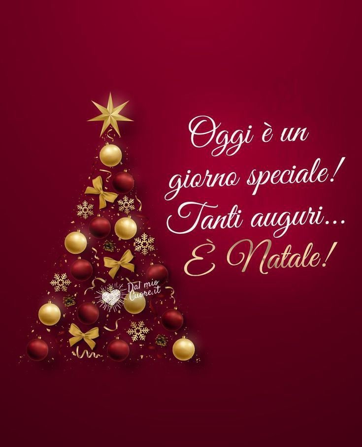 BambiniConverse's tweet image. Buon Natale a tutti!!♥️🎄♥️
#BuonNatale2024 
#BuonNatale 
#BuoneFeste