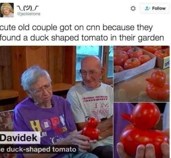 WholesomeMemes (@wholesomememe) on Twitter photo 