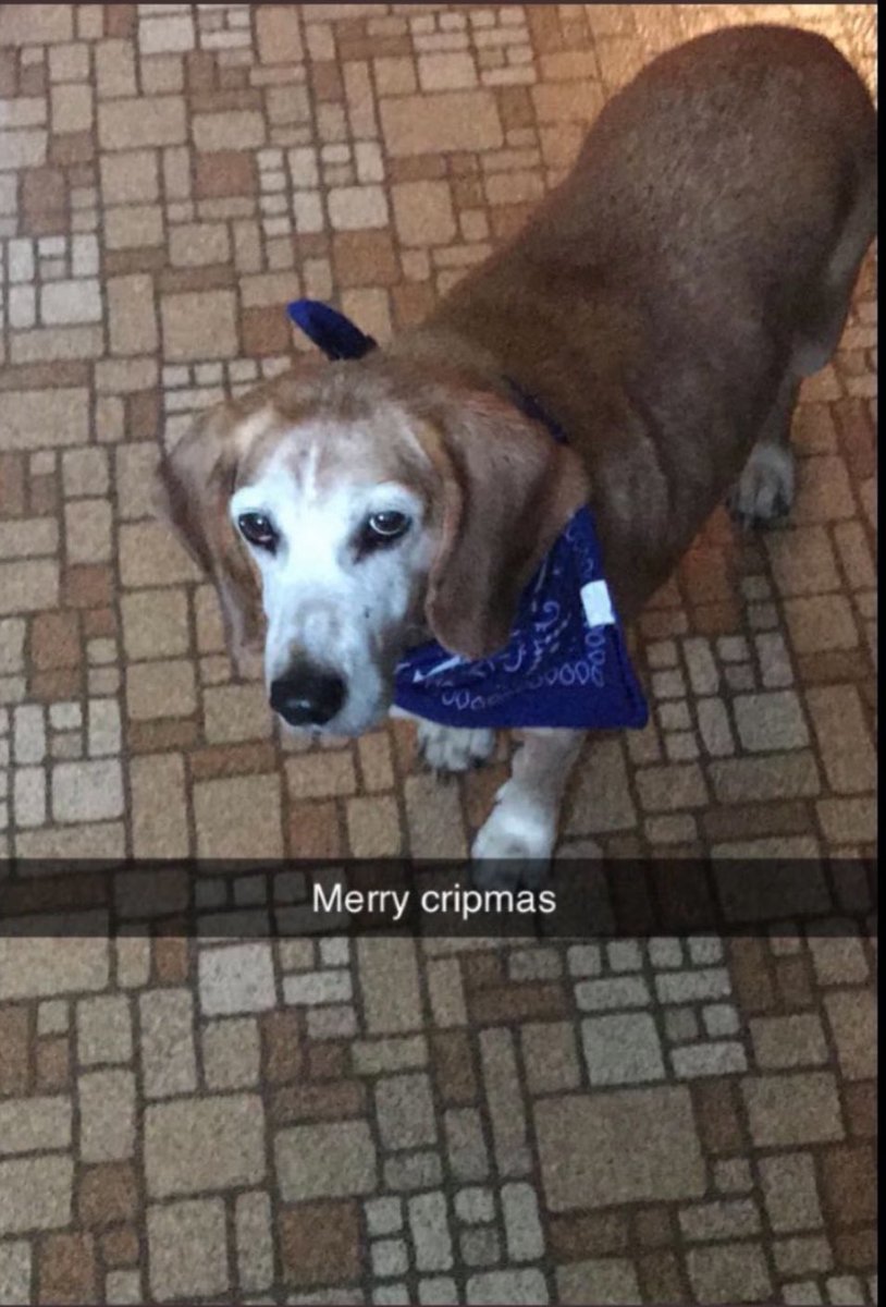 Keith “The #Beast” Drew Peanuts tweet media