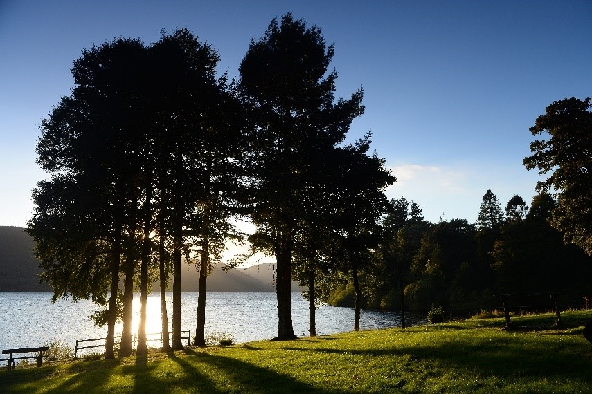 During the festive season, why not take some time to reconnect with nature and stretch your legs along the stunning Glyndwr’s Way? 🥾❄️

Happy holidays, and here’s to many more walks in the wild! 🎅🌳

Find the route for you 👉 loom.ly/yZCBRhU