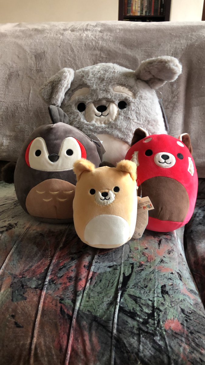 SamwiseBanshee's tweet image. The guys shared the love and got me the things that bring me all the love. The red panda was from me to me tho. 
@HoxandFound @forealziesXD