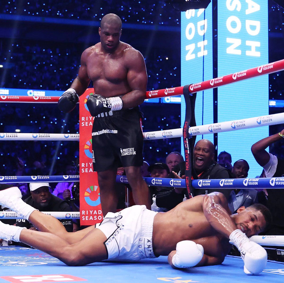 #RingsideFracas tweet media