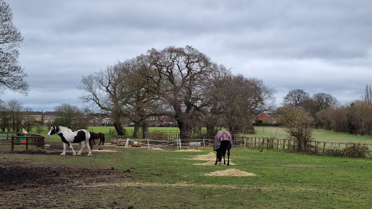 pinlu's tweet photo. An easy stroll in the village of Knapton after an excellent hearty roast duck Christmas lunch https://t.co/whyKWEC0bI