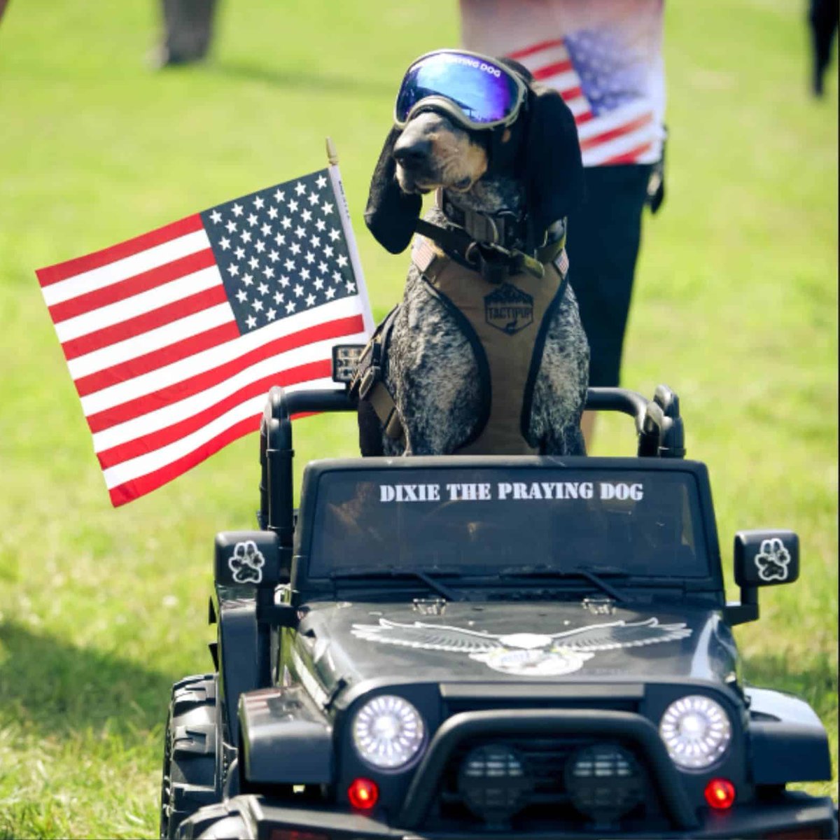 DixieCommunity's tweet photo. The first time I saw Dixie the Praying Dog was on TikTok, and I was instantly hooked. Among all the dance trends and funny skits, there she was - bowing her head and folding her paws in prayer.  🐾🦮

$DIXIE https://t.co/wPUEKK2bAx