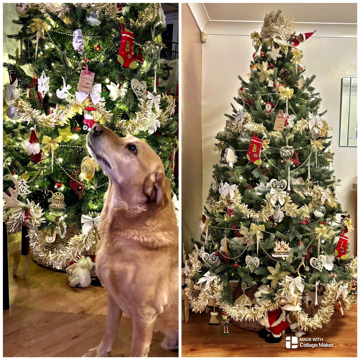 Kelly Kelly tweet media