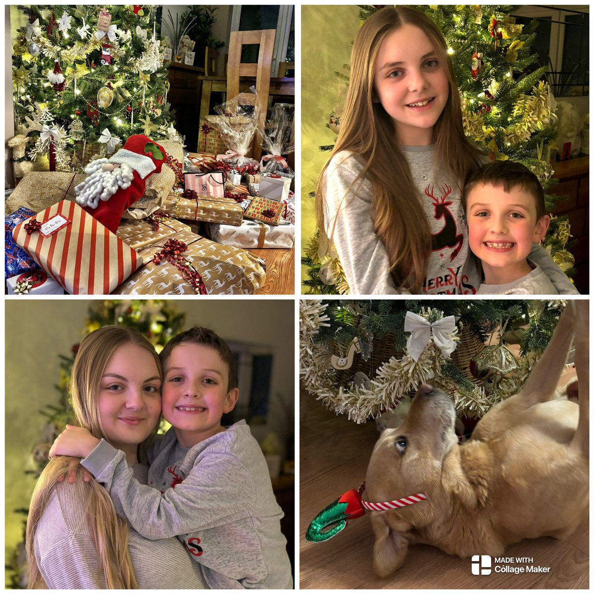 Hope everyone is having a lovely Christmas. Merry Christmas to all, Love The Kellys 🎄🫶