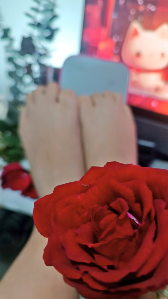 FancyFeetSoles's tweet photo. RT if you want more of these! #feetpicsforsales #FeetPicSeller #Feetpicsbuyer #feetworshi̇p https://t.co/vSKyUquXTq